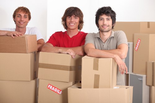Preparation checklist and packed boxes ready for a Brixton man with van move