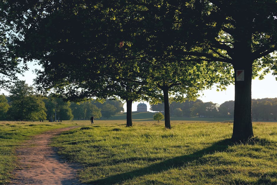A long, straight pathway lined with evenly spaced deciduous trees on both sides, their green foliage forming a canopy overhead. The pathway appears to be in a park or green space near Brockwell Park,